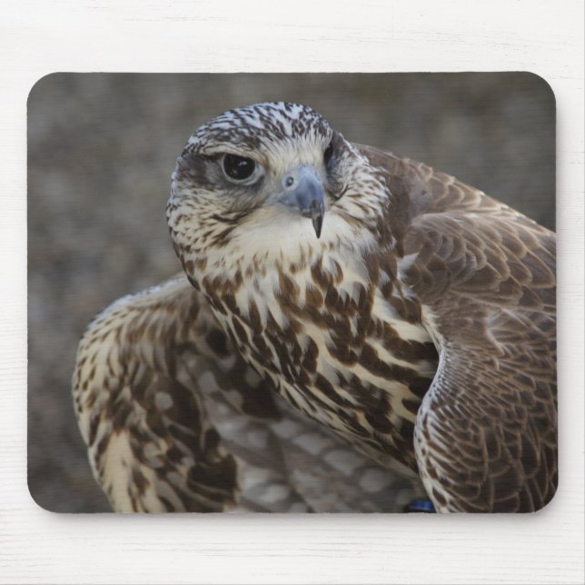 Alfombrilla De Ratón Falco cherrug (Frente)