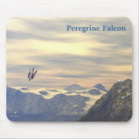 Falcon peregrino de velocidad de terminal