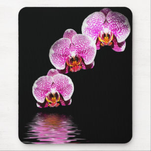 Alfombrilla De Ratón Falenopsis Púrpura Orquídea Reflexiones Mousepad