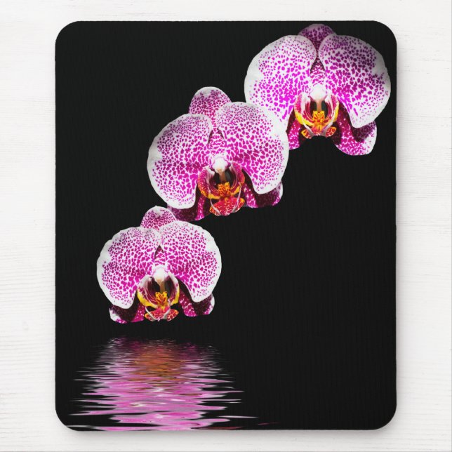 Alfombrilla De Ratón Falenopsis Púrpura Orquídea Reflexiones Mousepad (Frente)