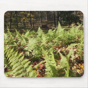 Alfombrilla De Ratón Fall Ferns