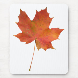 Alfombrilla De Ratón Fallen Leaf 01