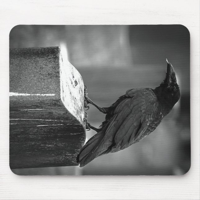 Alfombrilla De Ratón Falln Encontró Una Pluma (Frente)