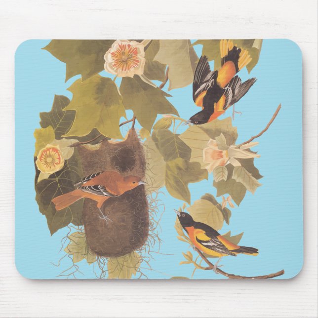 Alfombrilla De Ratón Familia Baltimore Oriole Audubon con nido (Frente)