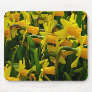 Alfombrilla De Ratón Familia Daffodil