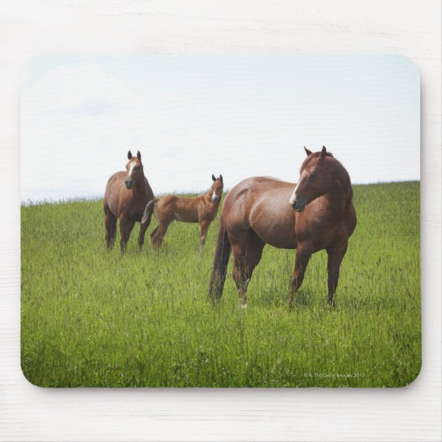 Alfombrilla De Ratón Familia de caballos en el campo (Frente)