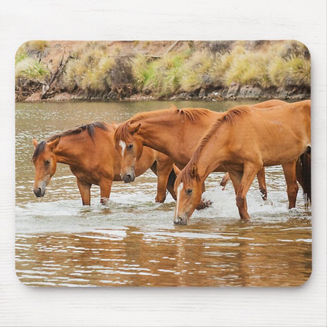 Alfombrilla De Ratón Familia de caballos marrones en el río (Frente)