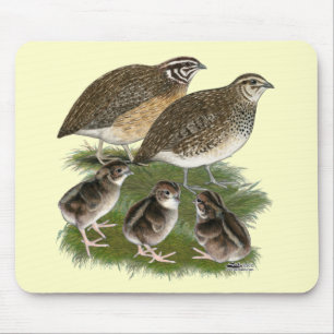 Alfombrilla De Ratón Familia de codornices Coturnix