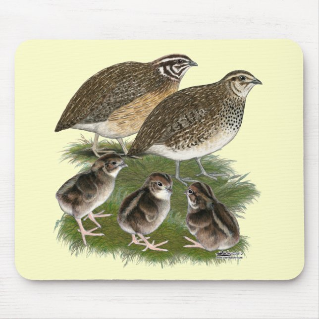 Alfombrilla De Ratón Familia de codornices Coturnix (Frente)