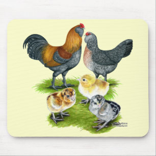 Alfombrilla De Ratón Familia de Gallinas Ameraucana