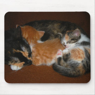 Alfombrilla De Ratón Familia de gatitos soñolientos
