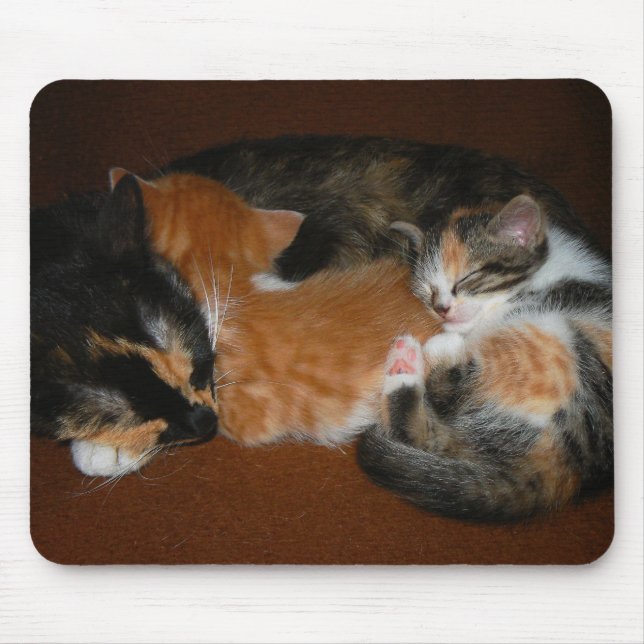 Alfombrilla De Ratón Familia de gatitos soñolientos (Frente)
