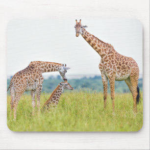 Alfombrilla De Ratón Familia de la jirafa de las imágenes el   de Gett
