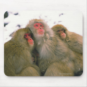 Alfombrilla De Ratón Familia de macaque japonés, Jigokudani,