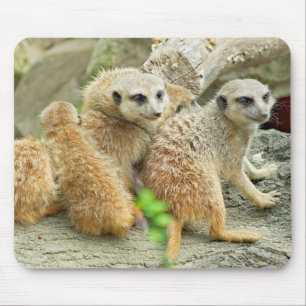 Alfombrilla De Ratón Familia de meerkats - Mousepad