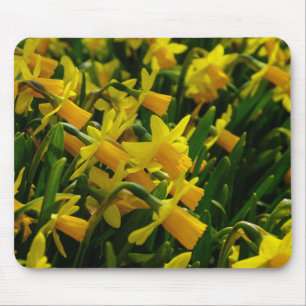 Alfombrilla De Ratón Familia De Narcisos