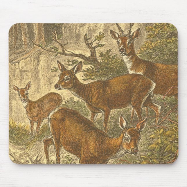 Alfombrilla De Ratón Familia de Roe - Deers en un bosque (Frente)