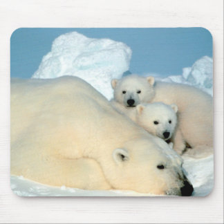 Alfombrilla De Ratón Familia del oso polar