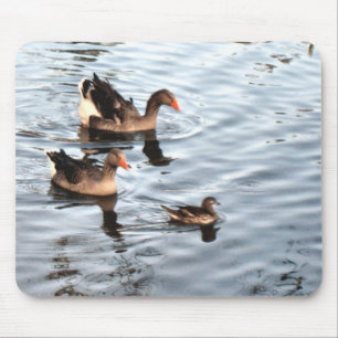 Alfombrilla De Ratón Familia Duck