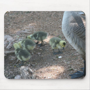 Alfombrilla De Ratón Familia Geese