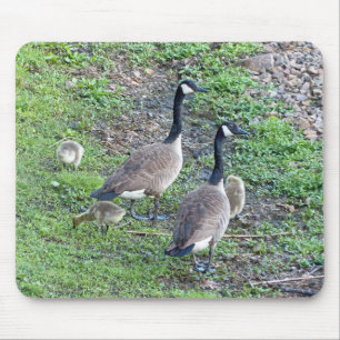 Alfombrilla De Ratón Familia Geese de Canadá