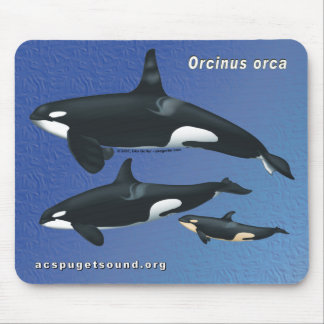Alfombrilla De Ratón Familia Mousepad - bkg azul de la orca de la
