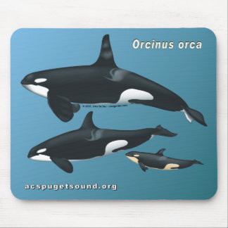 Alfombrilla De Ratón Familia Mousepad de la orca en fondo verde azulado