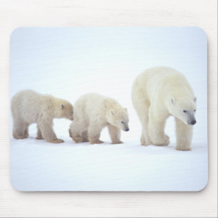 Alfombrilla De Ratón Familia Mousepad del oso polar