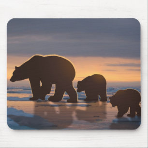 Alfombrilla De Ratón Familia Oso Polar