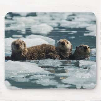 Alfombrilla De Ratón Familia Otter del mar