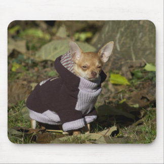 Alfombrilla De Ratón Fancy Chihuahua
