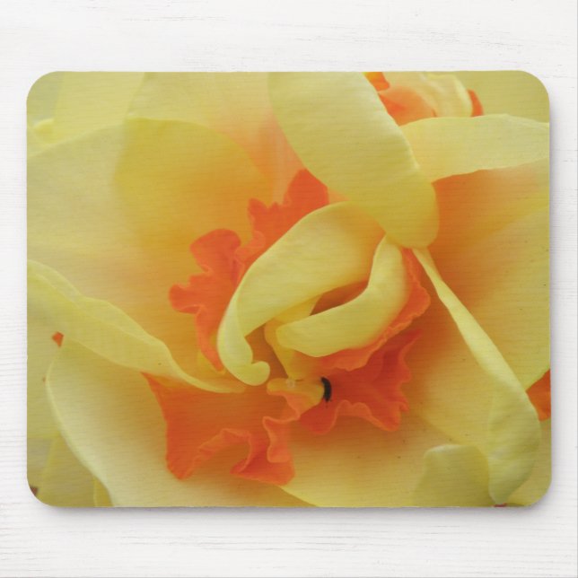 Alfombrilla De Ratón Fancy Daffodil Mousepad (Frente)