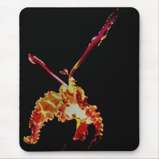 Alfombrilla De Ratón Fancy Naranja Orquid Flower