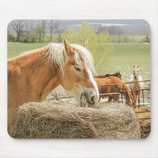 Alfombrilla De Ratón Farm Horse Munching on Some Hay (Frente)