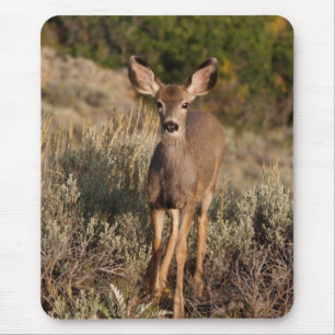 Alfombrilla De Ratón Fawn Mousepad