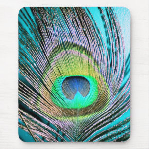 Alfombrilla De Ratón Feather de pavo real sobre turquesa