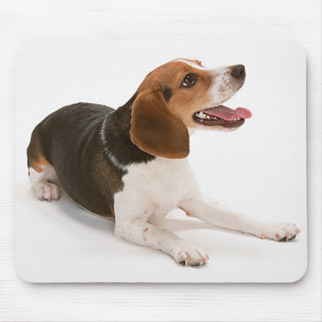 Alfombrilla De Ratón Feliz Beagle Mousepad (Frente)