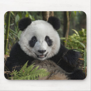 Alfombrilla De Ratón Feliz panda joven, China