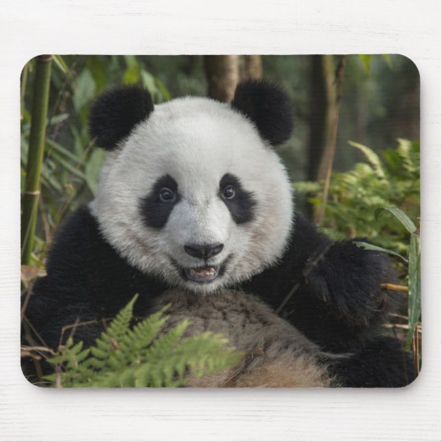 Alfombrilla De Ratón Feliz panda joven, China (Frente)