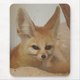 Alfombrilla De Ratón Fennec Fox