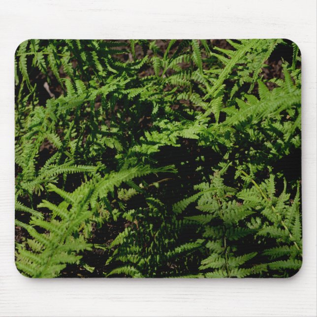 Alfombrilla De Ratón Fermones del suelo forestal (Frente)