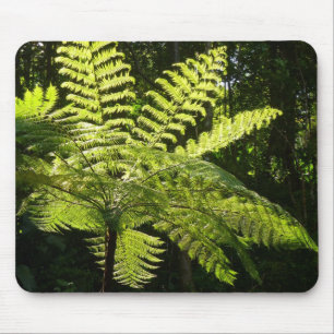 Alfombrilla De Ratón Fern arbolado en la selva tropical