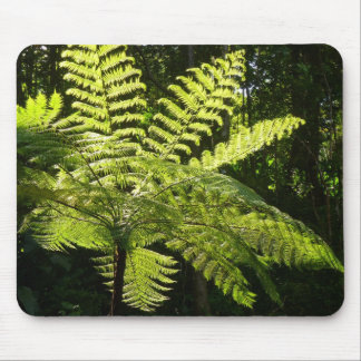 Alfombrilla De Ratón Fern arbolado en la selva tropical