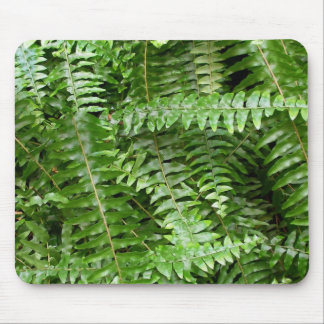 Alfombrilla De Ratón Fern Fronds I Green Nature