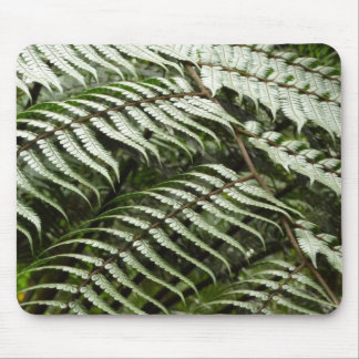 Alfombrilla De Ratón Fern Fronds II Naturaleza verde oscura