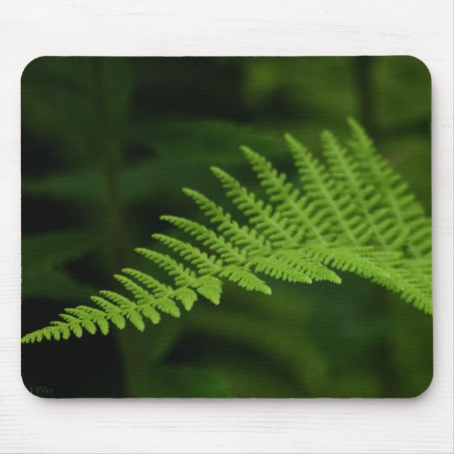 Alfombrilla De Ratón Fern P6597 Mousepad (Frente)