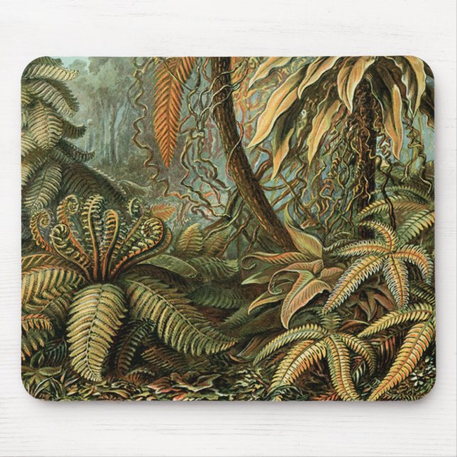 Alfombrilla De Ratón Ferns Palm Tree Antique Botanica Ferns Art (Frente)