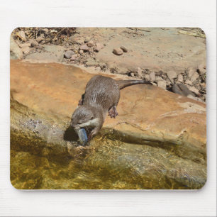 Alfombrilla De Ratón **"Festín Pondside: Un Otter y su atracción"**