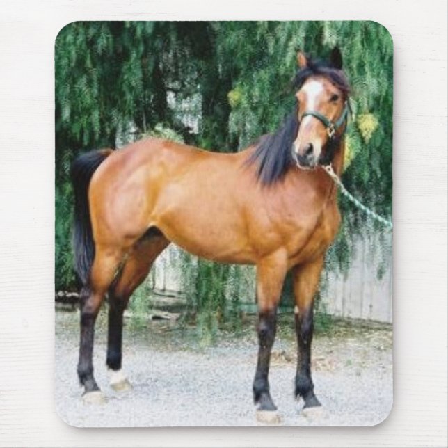 Alfombrilla De Ratón Fibonacci (Frente)