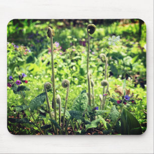 Alfombrilla De Ratón Fiddlehead Ferns Y Flores